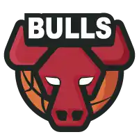 公牛
